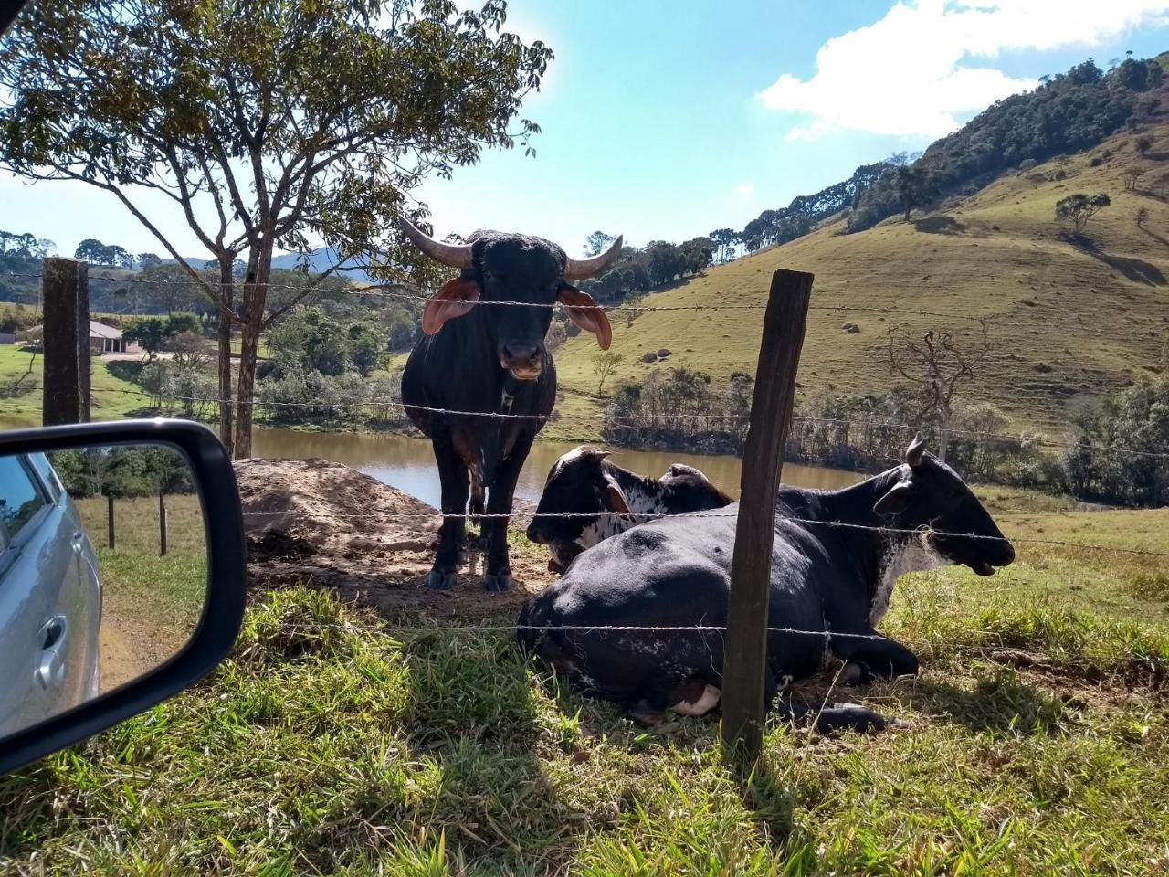 Casa Vista da Lagoa Gonçalves Esterno foto